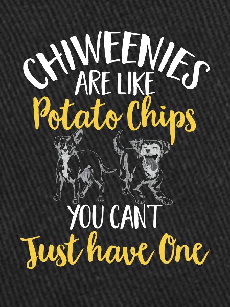 Chiweenie Chien