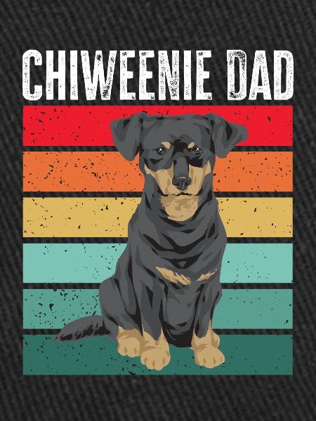 Chiweenie Chien