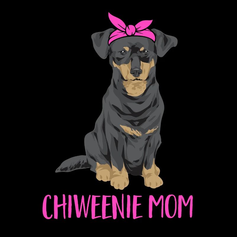 Chiweenie Dog