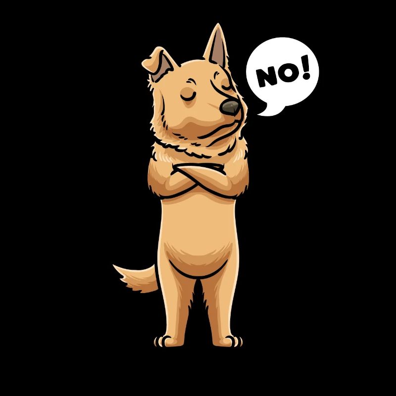 Perro Pastor Vasco Dog Basque Shepherd Dog