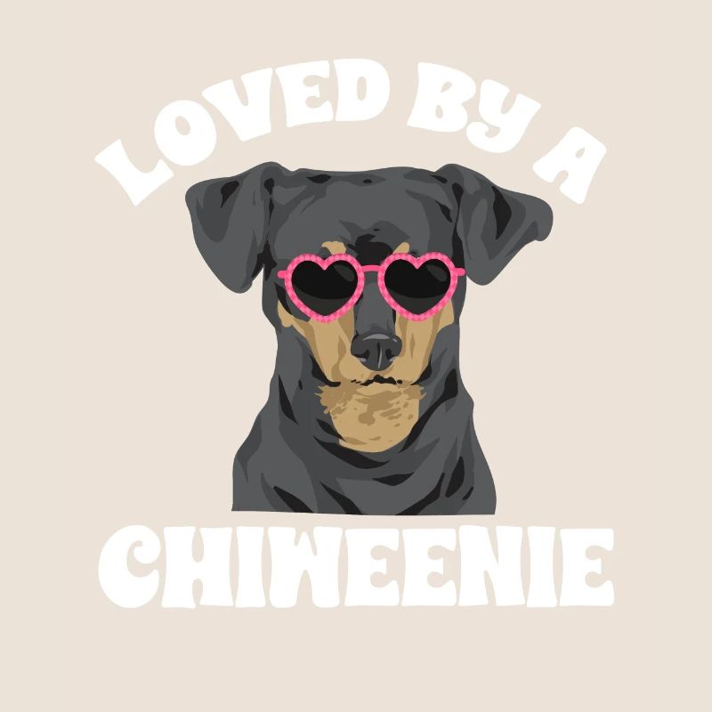 Chiweenie Dog