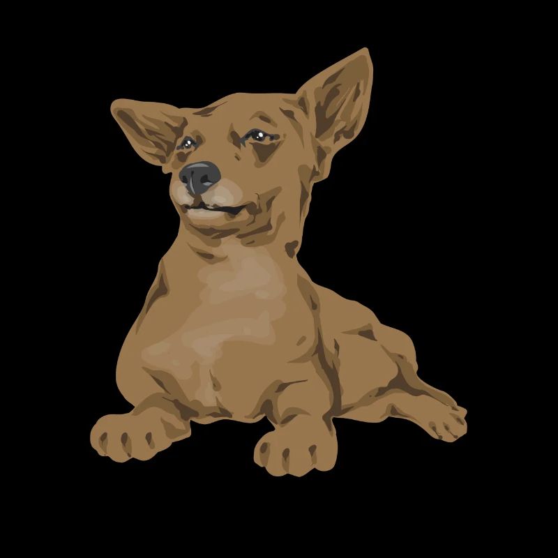 Chiweenie Dog