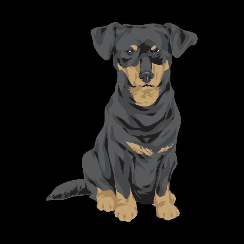 Chiweenie Dog