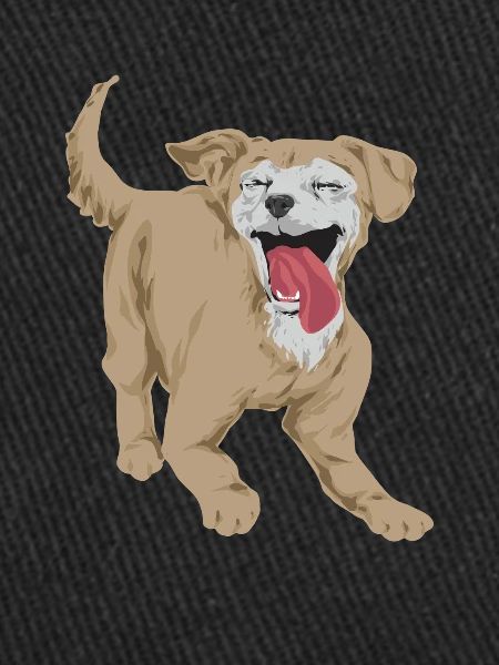 Chiweenie Chien