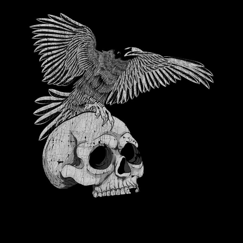 Totenkopf Krähe Schwarzer Vogel Geschenk Rabe