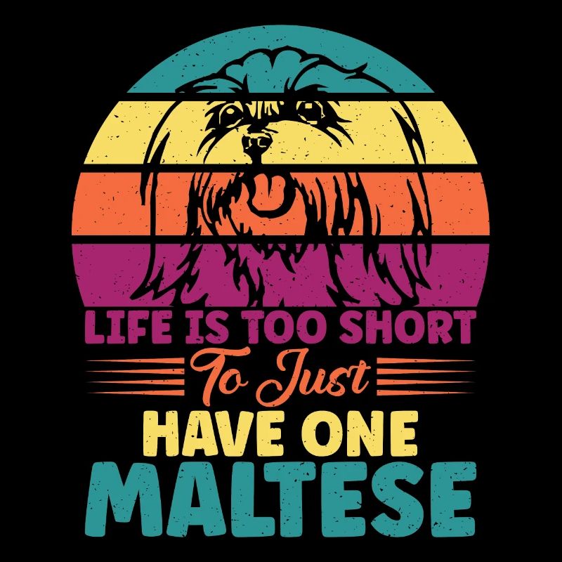 Cadeaux de propriétaire maltais