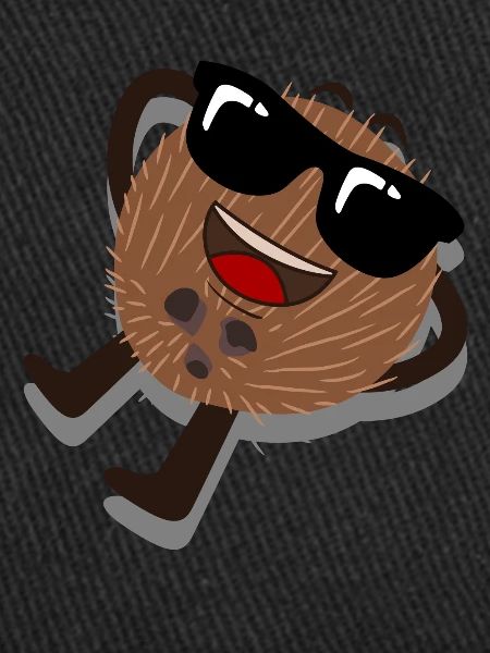 Coconut Sunglasses Coconuts