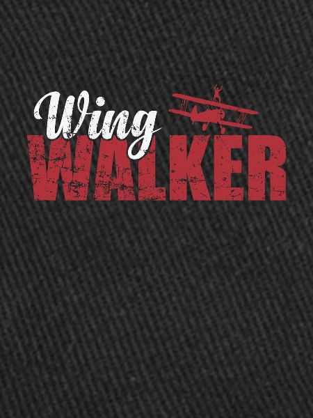 Wing Walker daredevil hobby