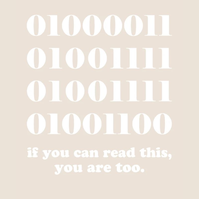 Computer binary code developers gift