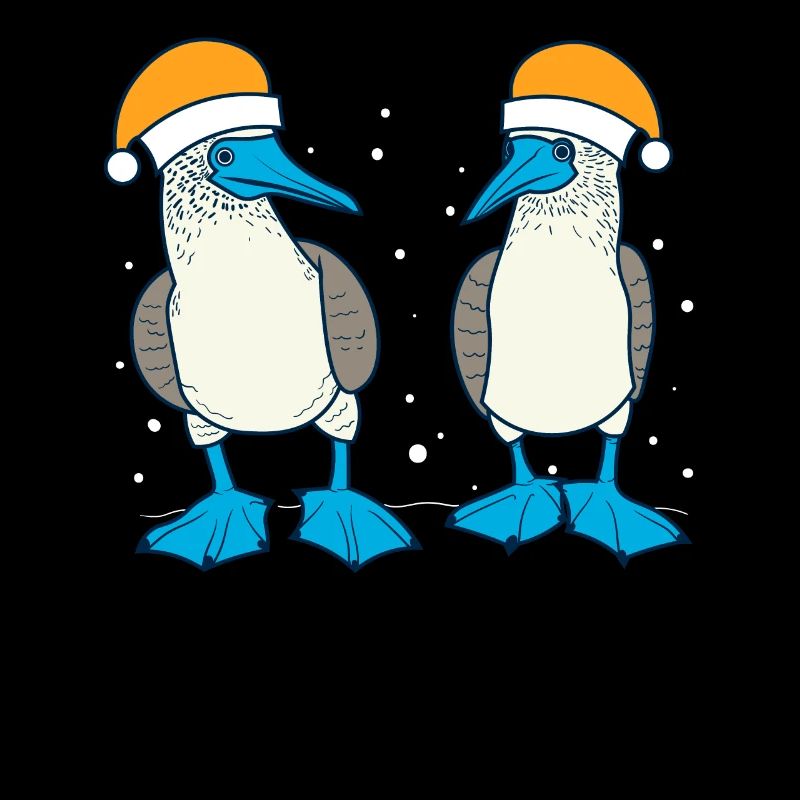 Fou à pieds bleus Noël