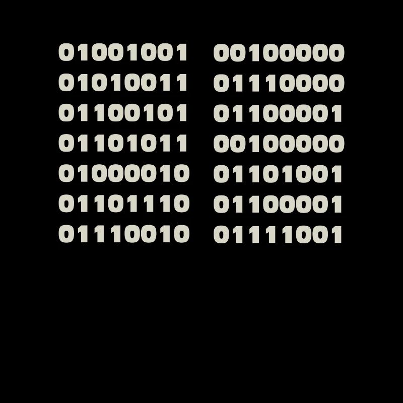 Ich Spreche Binär Code Lustiges Informatiker Coder