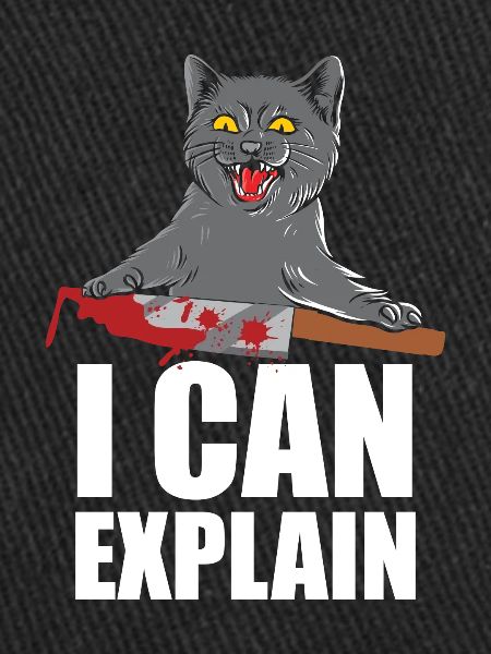 I Can Explain