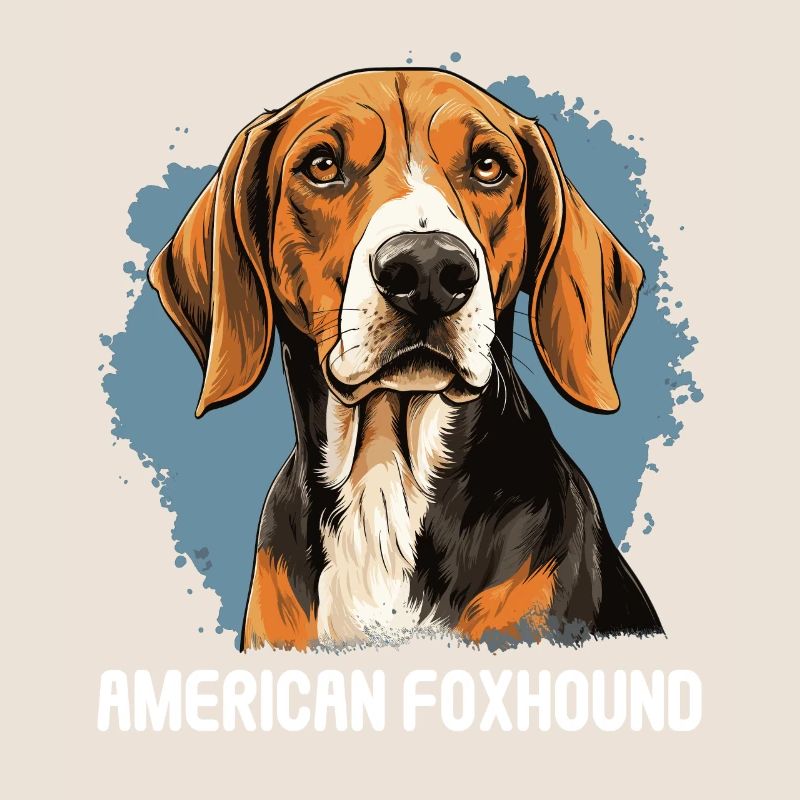 Chien American Foxhound