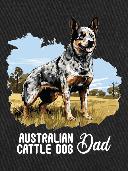 Hund Bouvier australien