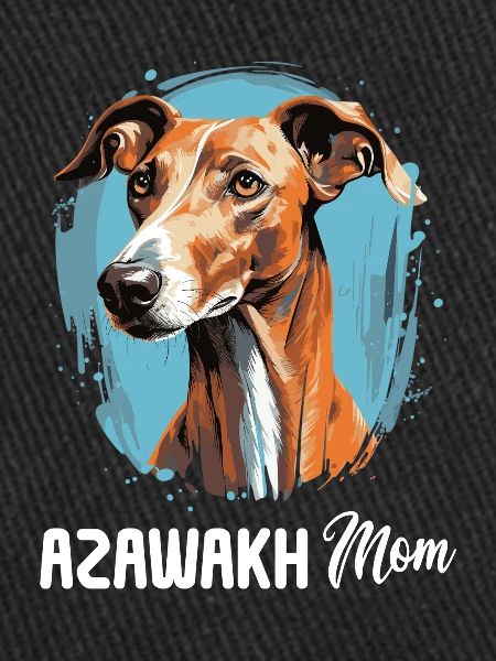 Chien Azawakh