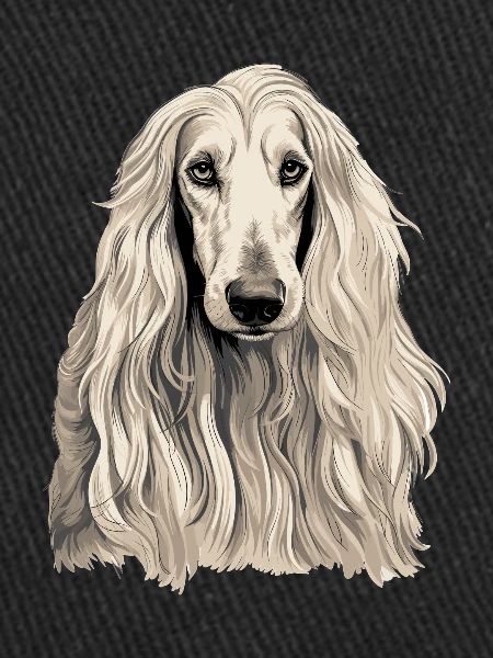 Chien Afghan Hound
