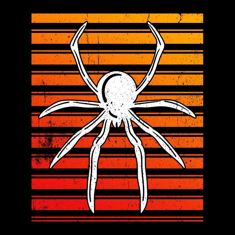 Spider Propriétaire Spider Spider Breeder