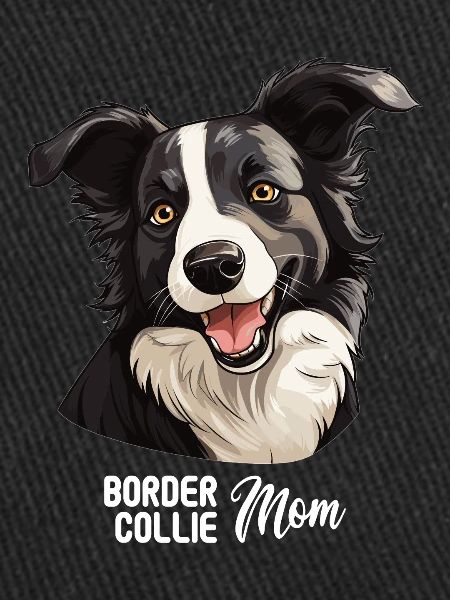 Dog Border Collie