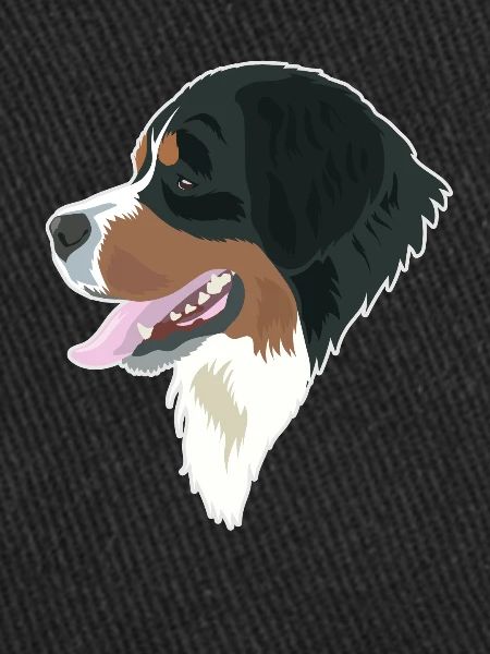 Bernese Mountain Dog Elegance
