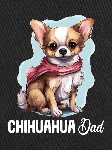 Dog Chihuahua