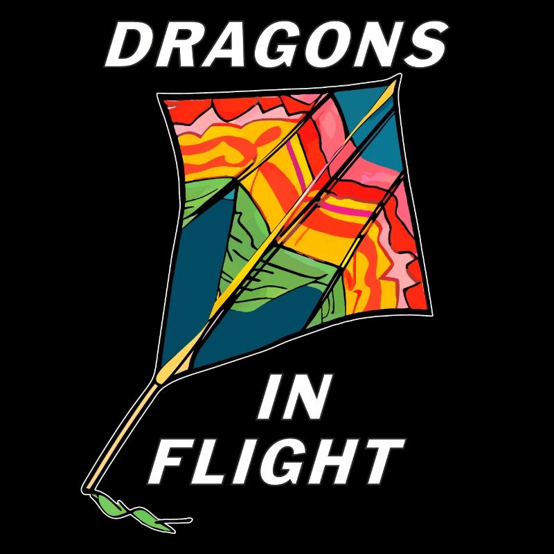 DRAGONS DRACHEN EN VOL