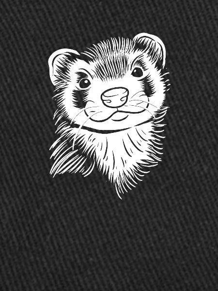 Furet Iltis Mignon