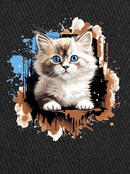 Ragdoll