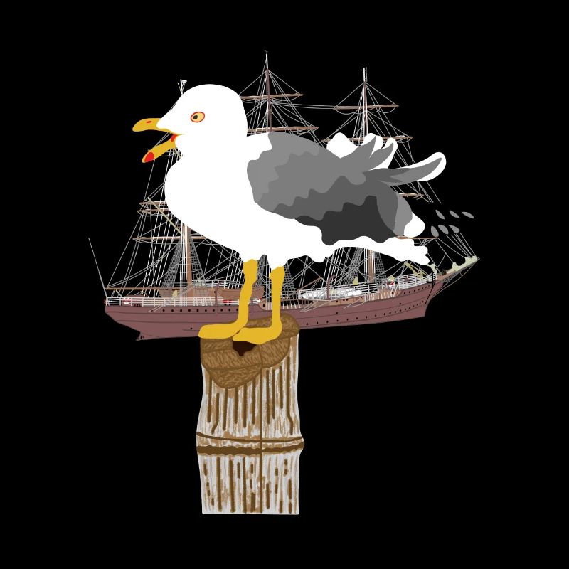 Möwe, Seemöwe, Segelschiff, Segelboot, Seefahrt,