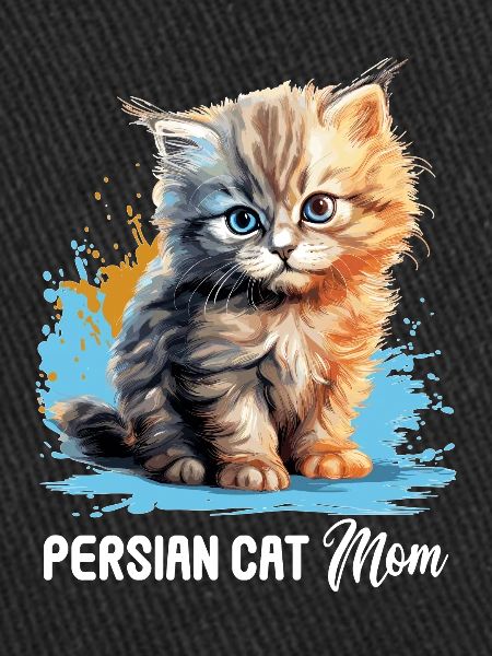 Chat persan Perser Katze