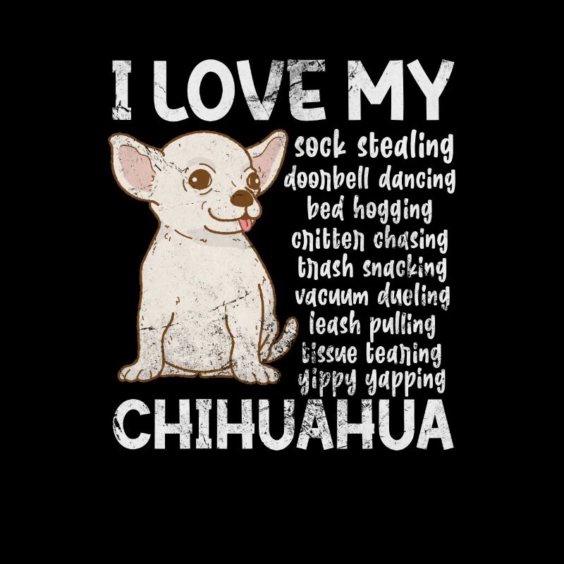 Chihuahua