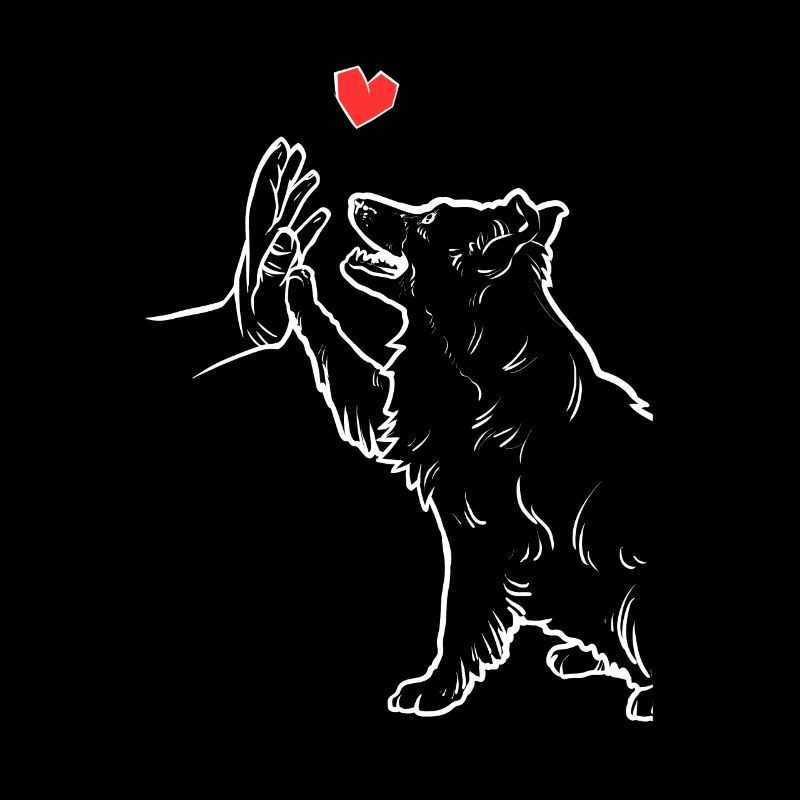 Border Collie Mignon Border Collie Amour Frontière
