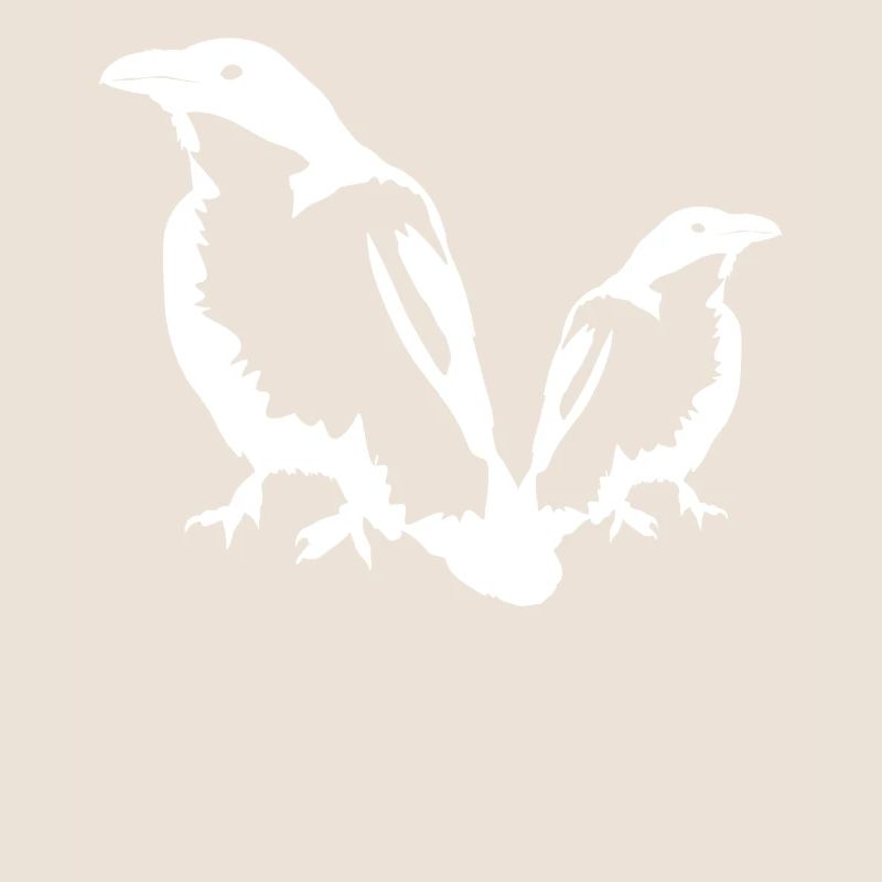 Ravens Crows Crow Raven