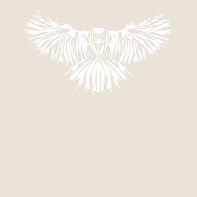 Raven Crow Ravens Crows