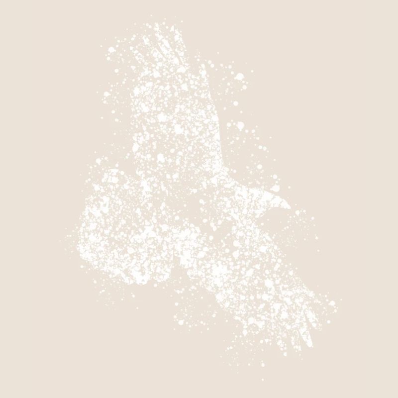 Raven Ravens Crows Crow