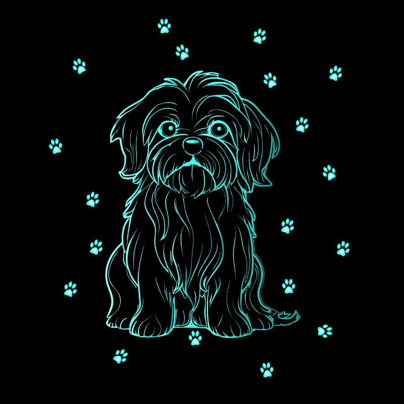Havanese with small paws