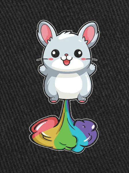 Chinchilla Funny Rainbow Fart