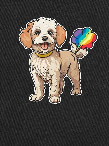 Caniche Mignon Arc-en-Ciel Pet