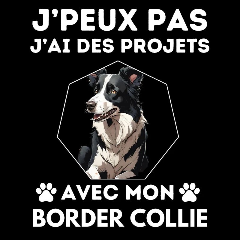 chien doux border collie 3
