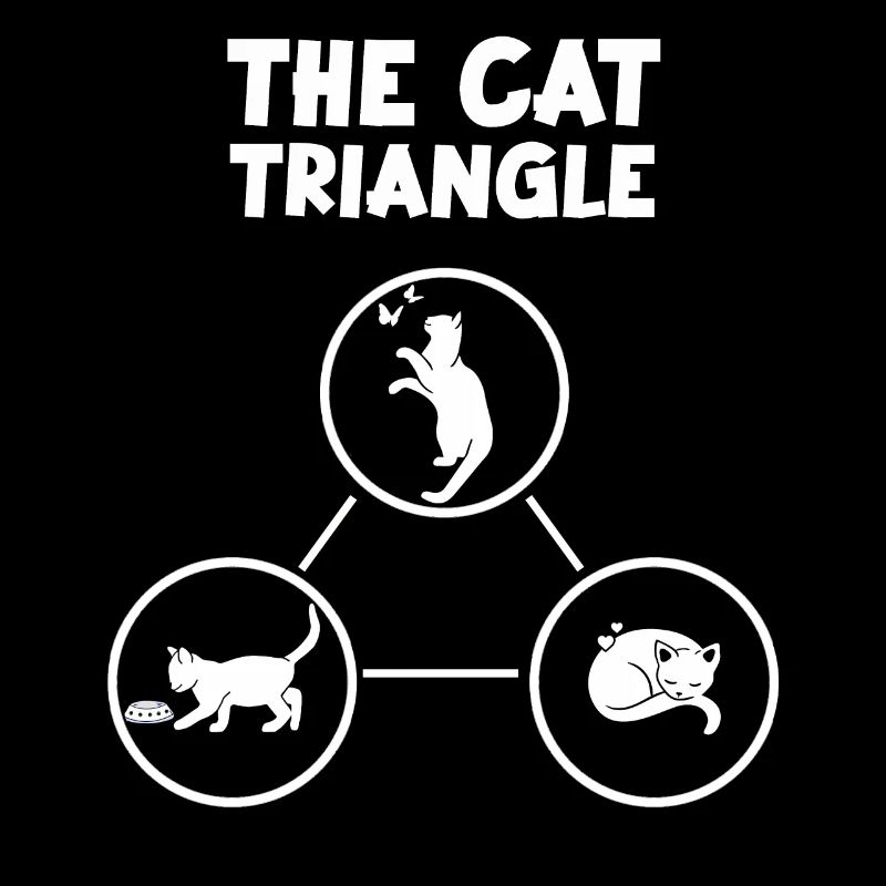 Triangle des chats Cadeau amusant pour les