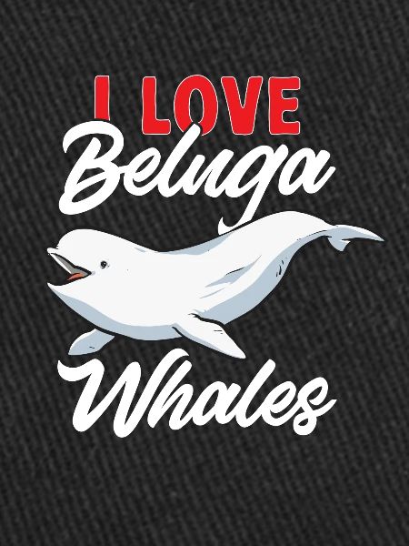 Weißwal Beluga Wal