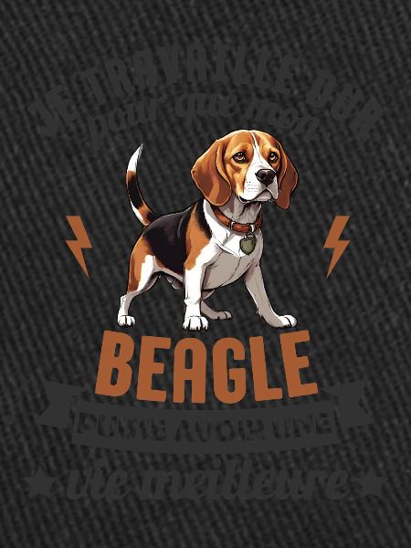 humour école canine beagle