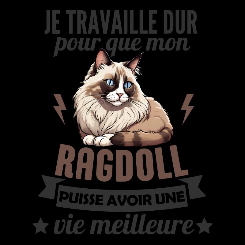 chat ragdoll