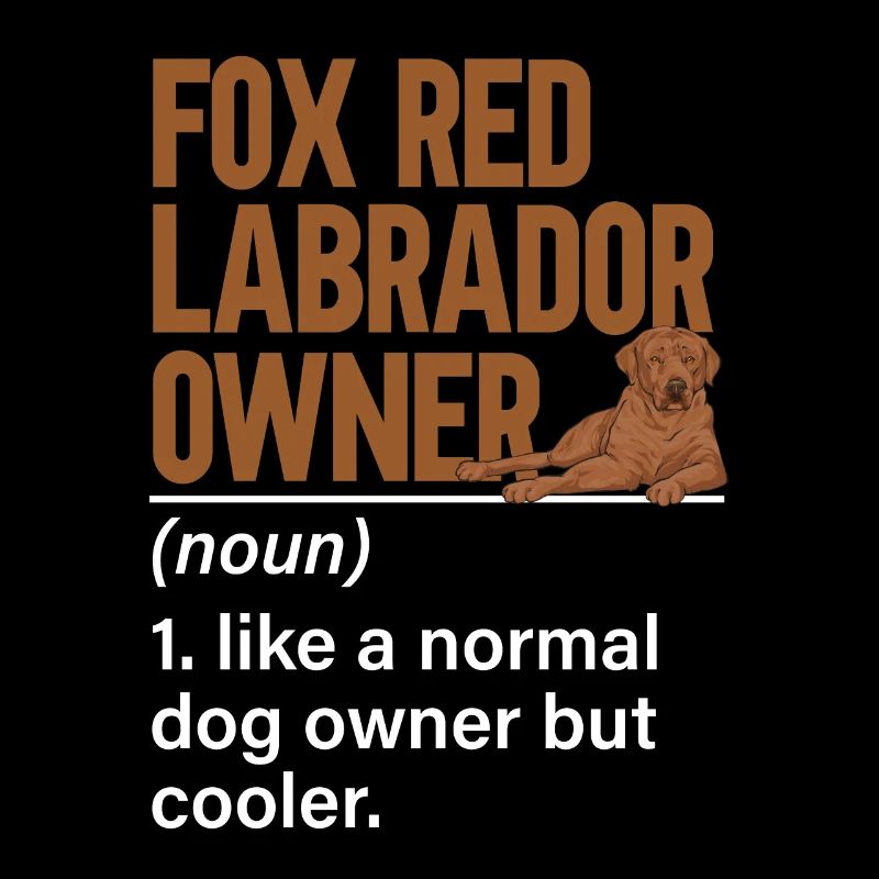 Foxred Labrador Fox Red Labrador Retriever