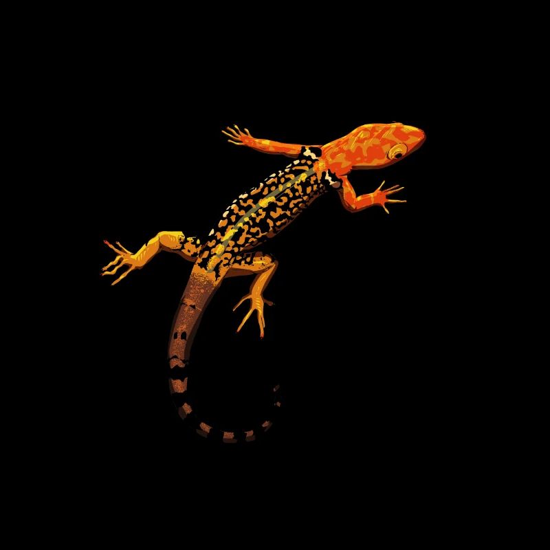 Dessin - Gecko pygmée à tête jaune