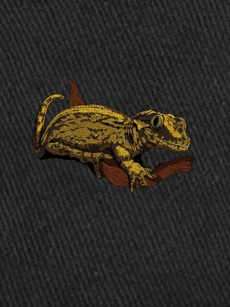 Drawing - Mute-headed Gecko