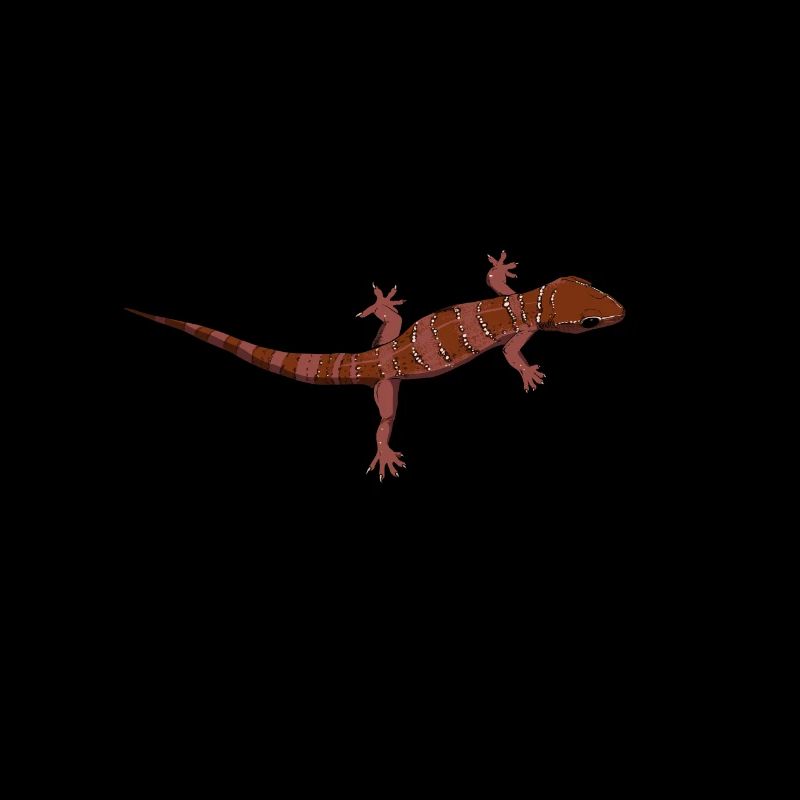 Zeichnung - Bogenfingergecko