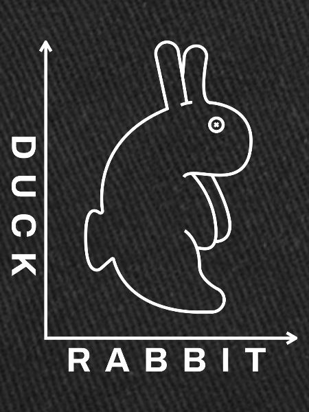 Rabbit Duck Illusion