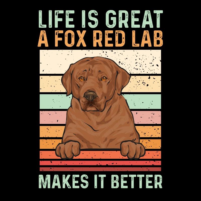 Foxred Labrador Fuchsroter Labrador Retriever