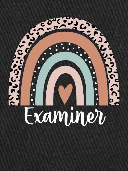 Examiner Rainbow Leopard Funny Examiner