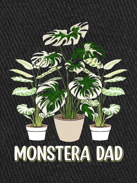 Papa Monstera